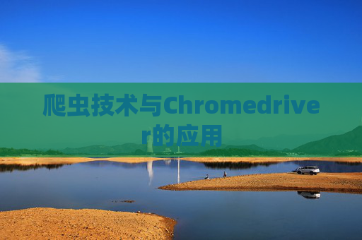 爬虫技术与Chromedriver的应用