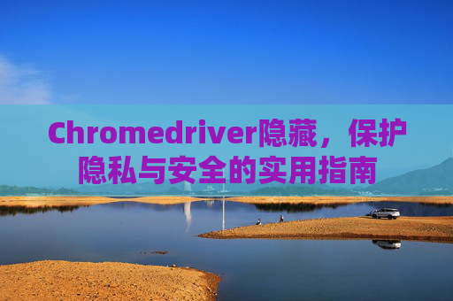 Chromedriver隐藏，保护隐私与安全的实用指南