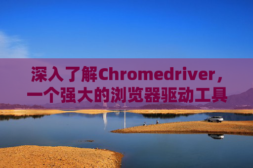 深入了解Chromedriver，一个强大的浏览器驱动工具